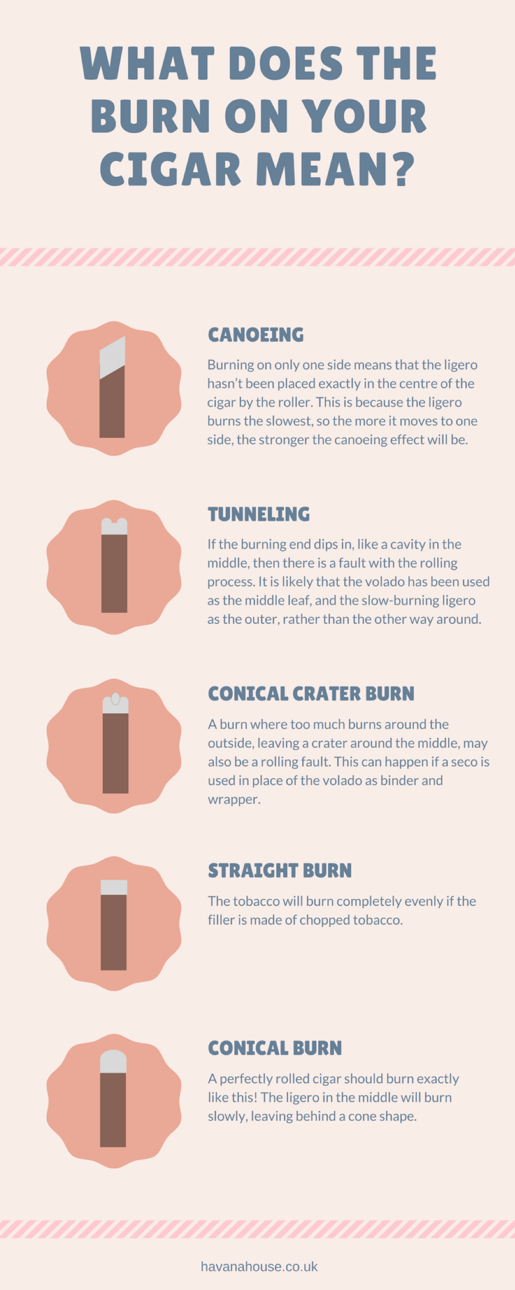 an infographic showing the different burn types of cigars
