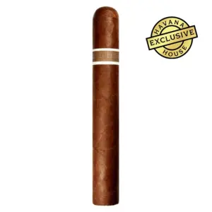 RoMa Craft Aquitaine Cranium Cigar - Single