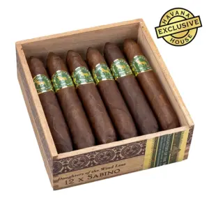 Casdagli Daughters of the Wind Sabino Cigar - Box of 12