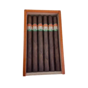 Villa Casdagli Lonsdale Box of 12
