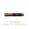 Rocky Patel Disciple Robusto Cigar - Single - Image 3