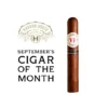 VegaFina 1998 VF 52 Robusto Cigar - Single - Image 5