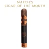 Rocky Patel Disciple Robusto Cigar - Single - Image 4